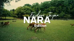 NARA - JAPAN