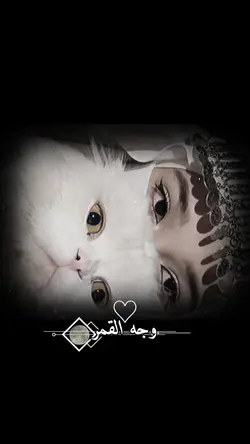 وجه القمر 