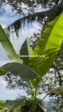 DARLING HOLD MY HAND