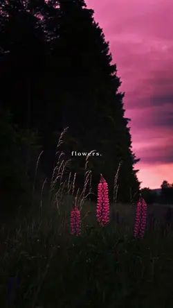 flowers