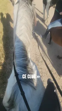 ce club
