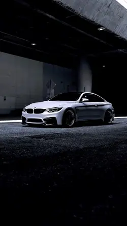 🗯️🗯️🗯️🗯️