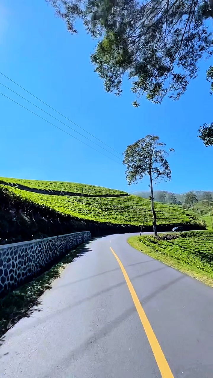 3 filter video HD 