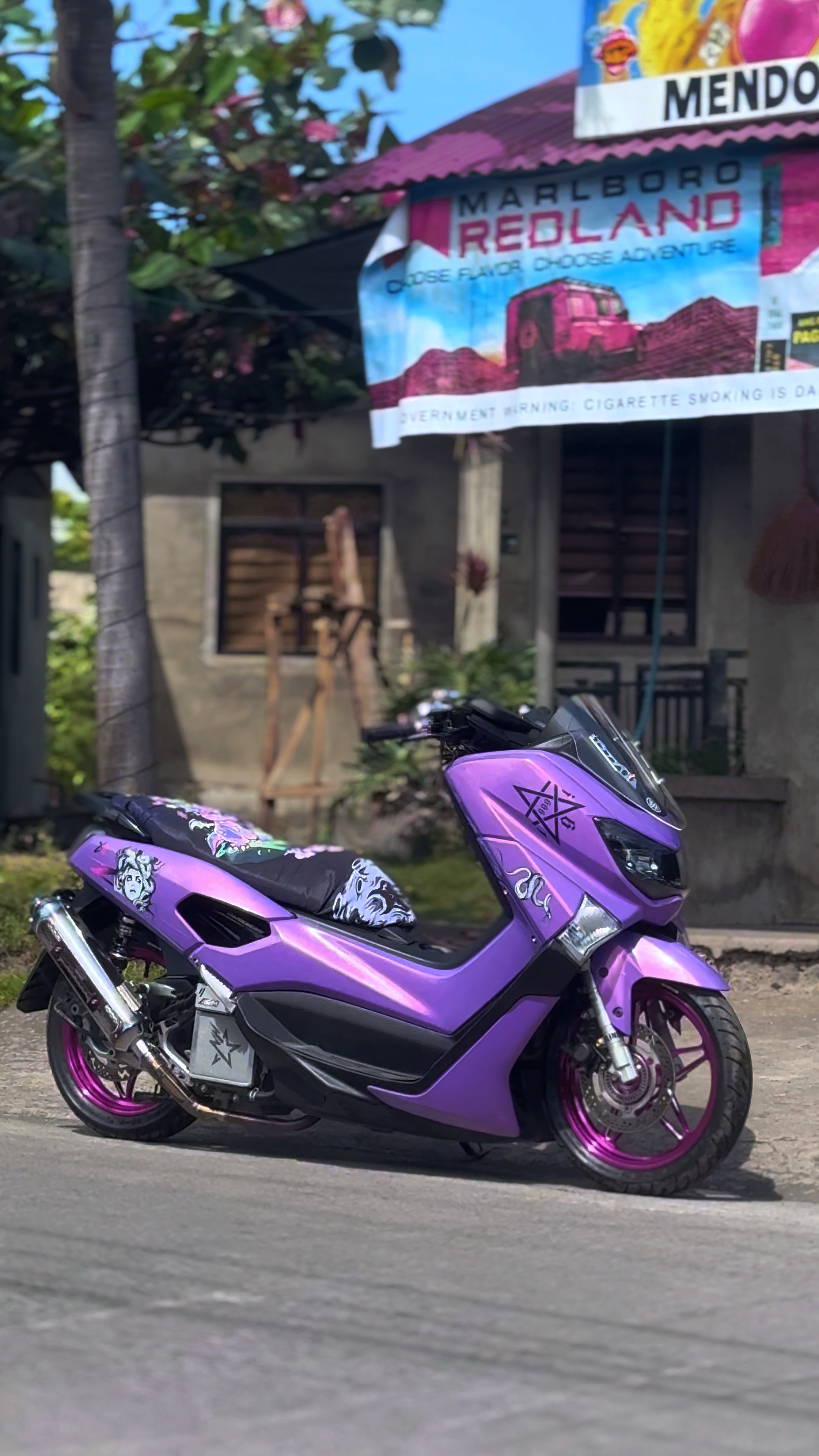 Cover Picture