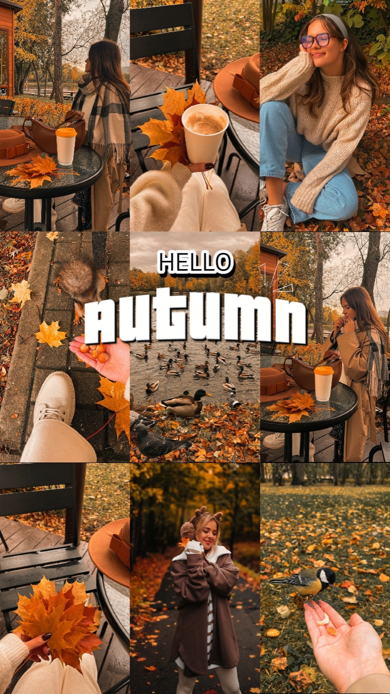 Autumn moments 