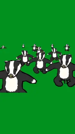 badger mushroom 