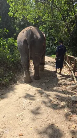 Phuket Thailand
