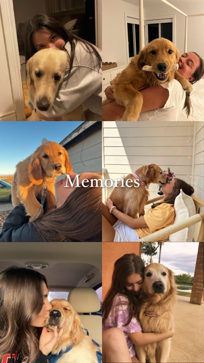 Pets memories