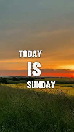 TODAY IS SUNDAY