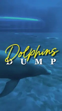 Dolphins Dump