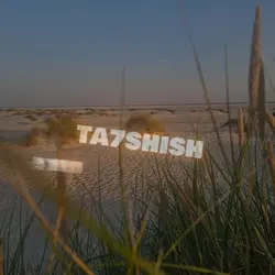 TA7SHISH
