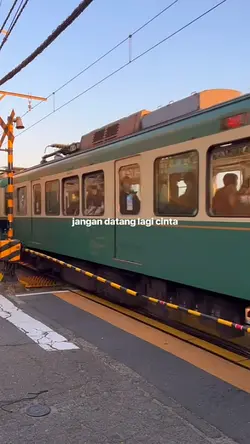 Pura pura lupa 
