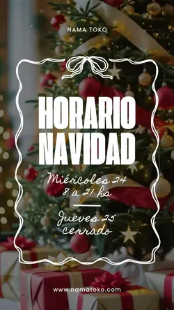 horario navidad