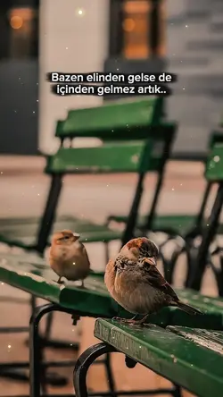 duygusal şablon 
