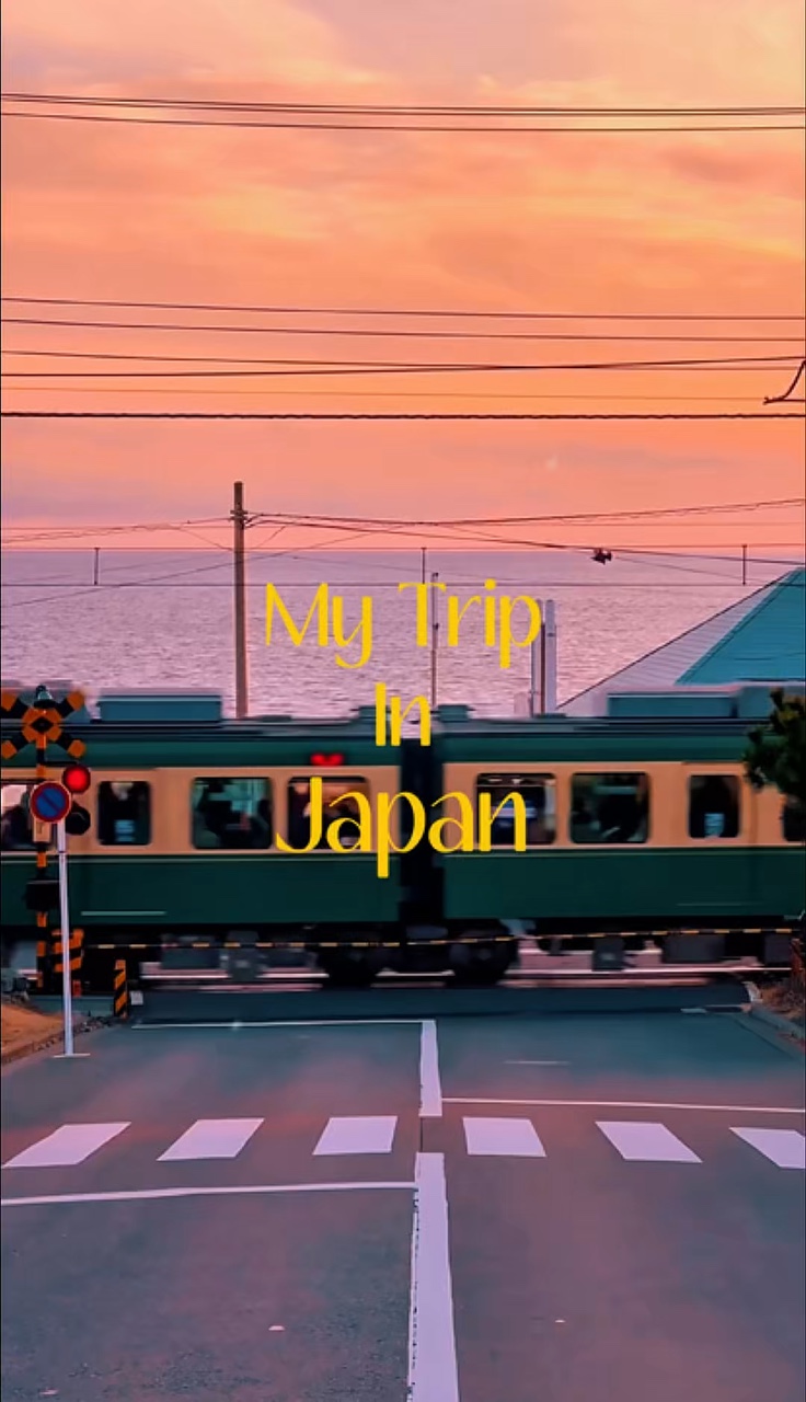 Trip In Japan 🇯🇵 