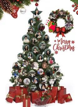 Cây thông noel 