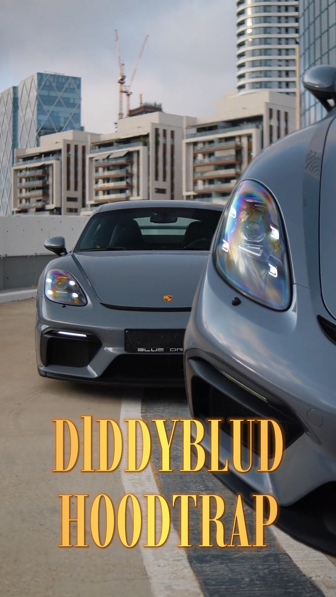 Piège à capuche DIDDYBLUD
