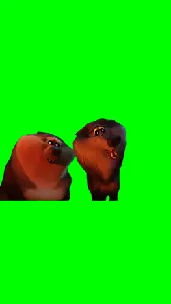 Are you in love?