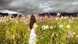 144p vs 4k
