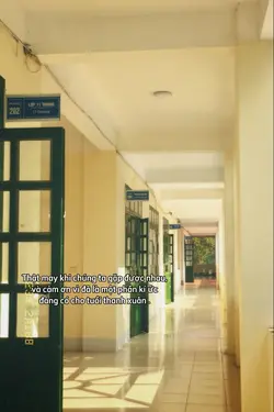 Thanh Xuân Có Nhau 