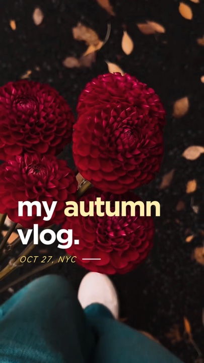 autumn filter
