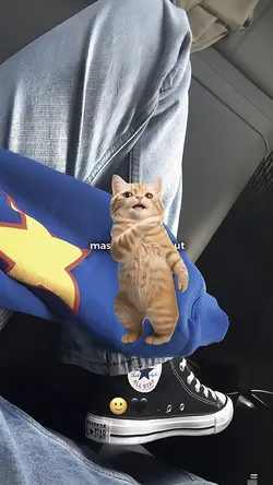 CURI²PANDANG KUCING