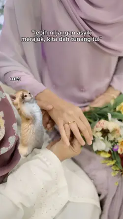 salute cat
