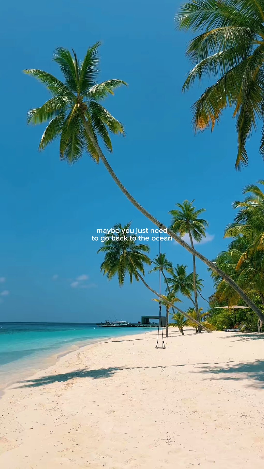 Talvez você só precise