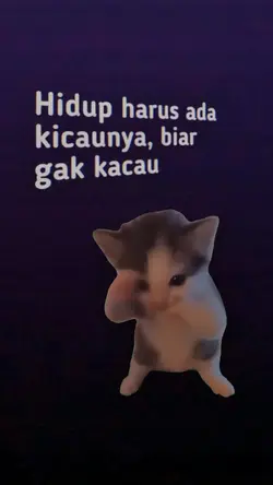 kicau mania