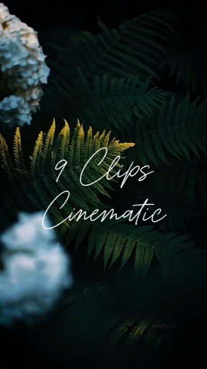 Simple Cinematic 