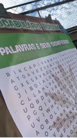Povos indígenas