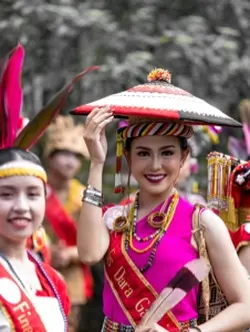 Sape dayak