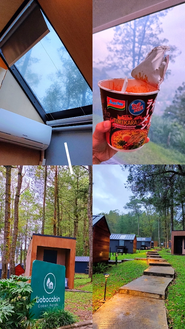 Frohe Ferien