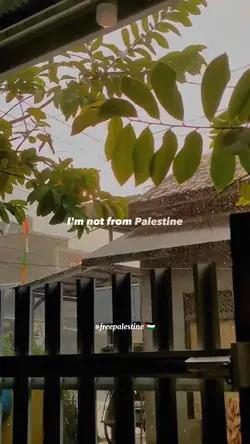 Palestine 