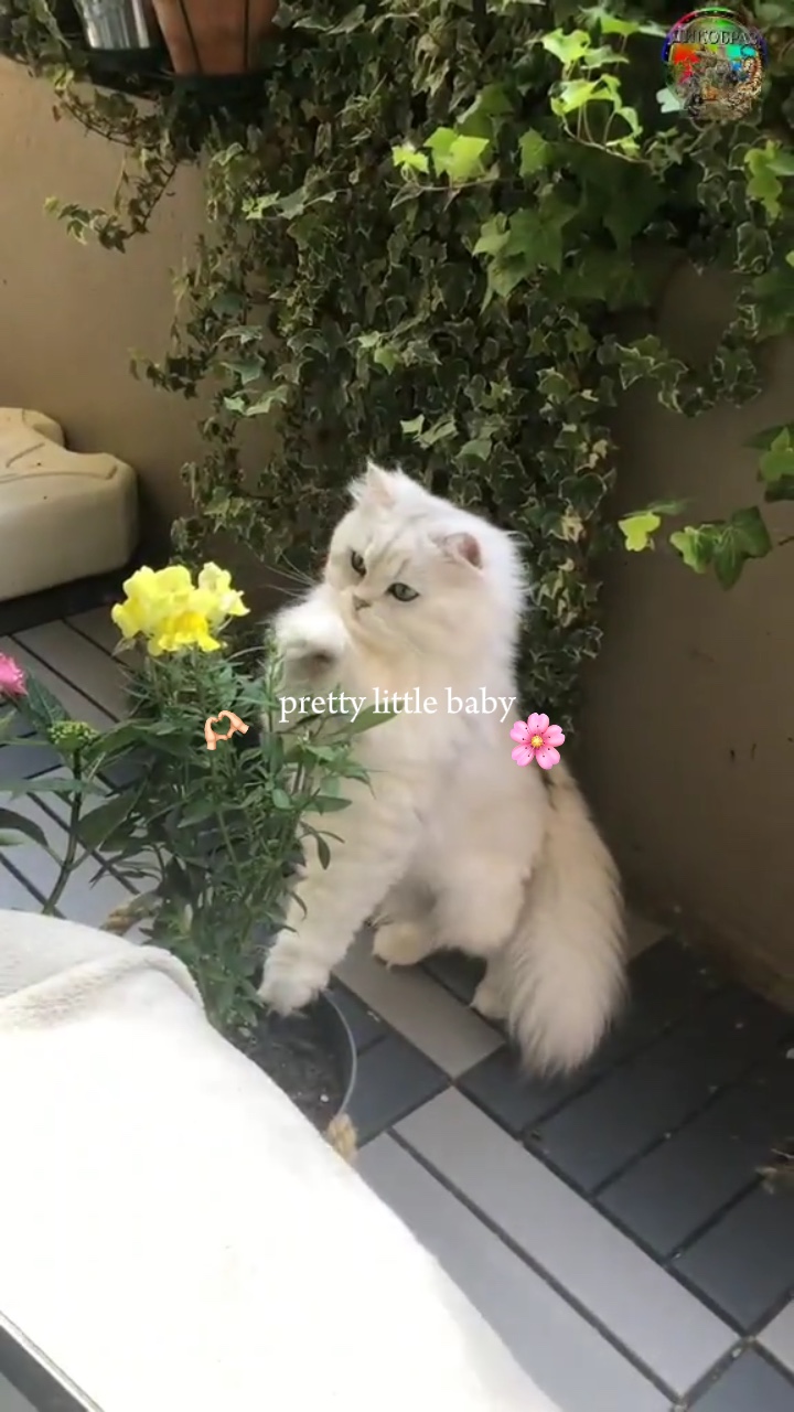 Pretty little baby