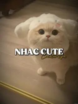 nhac cute