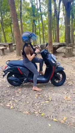 hutan pinus
