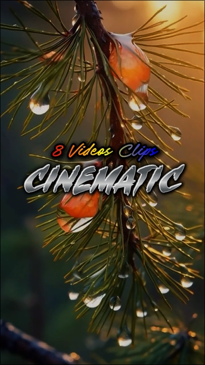 8 Videos Clips