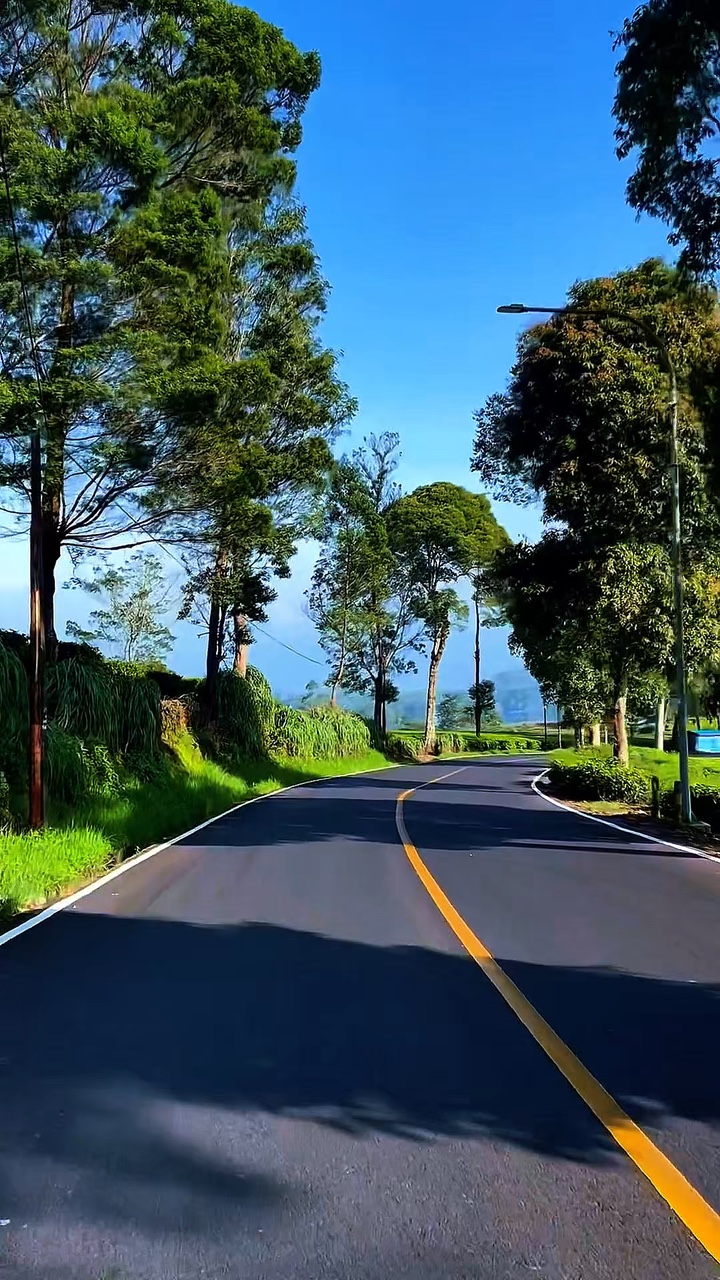 6 video travel