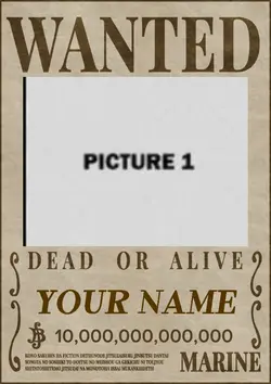 Onepeicewantedposter