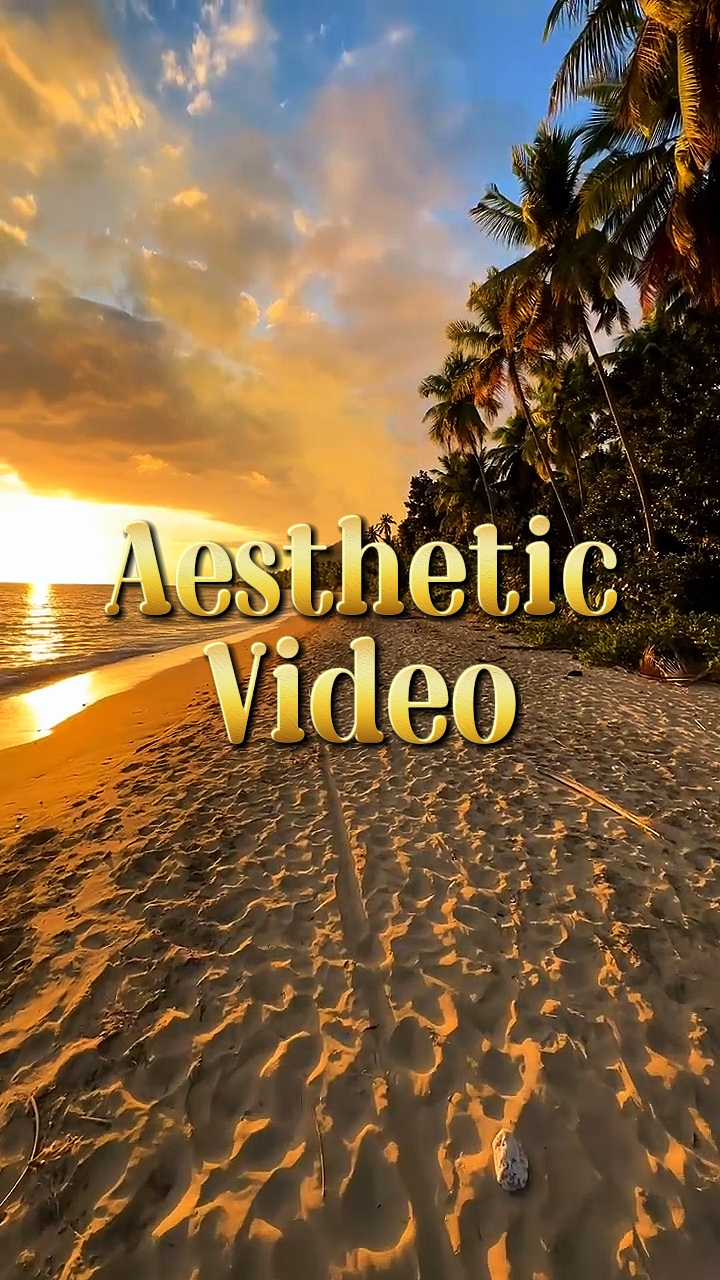 Aesthetic Video