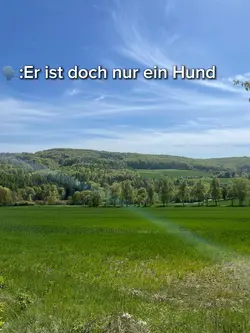 Nur ein Hund…?