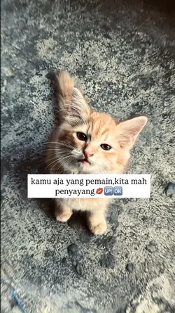 kamu aja yang pemain