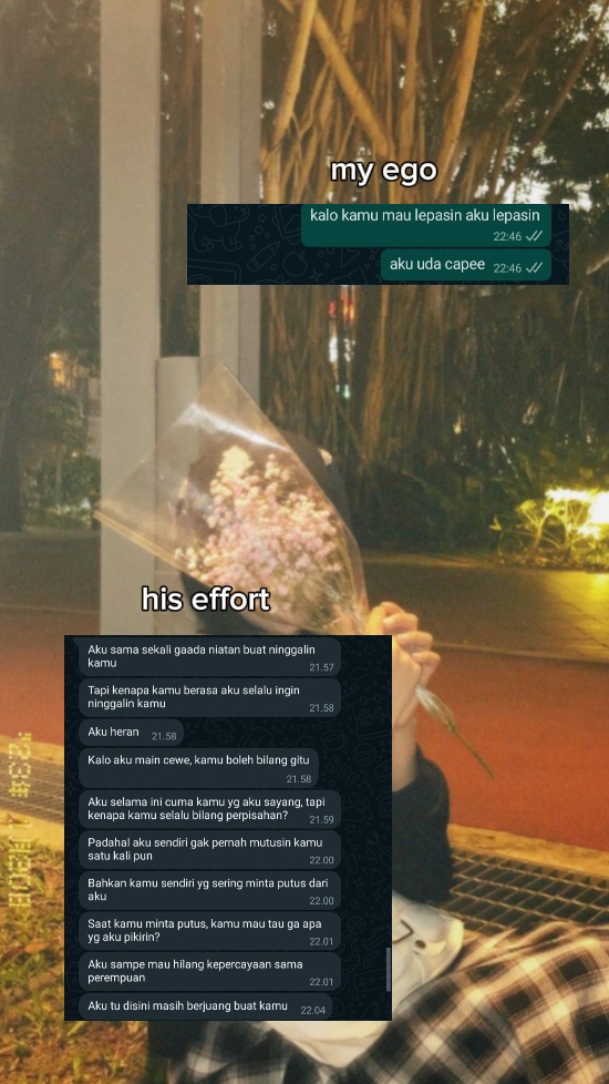 Meu ego seu esforço