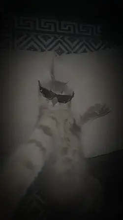 oi