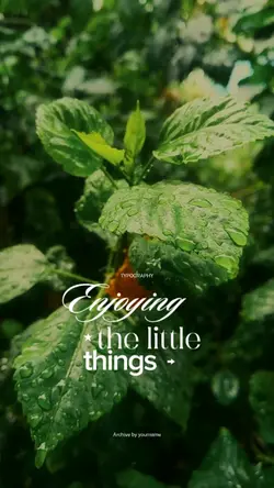 Typography Aesthetic