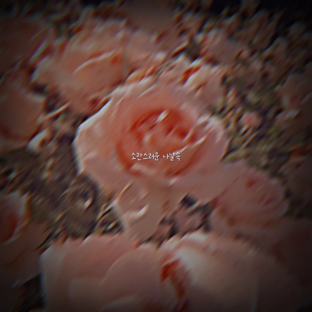 밤을 달리다