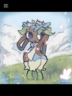 animacja 