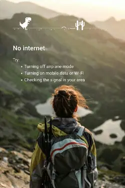no internet 