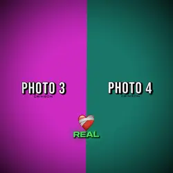 Fake & Real